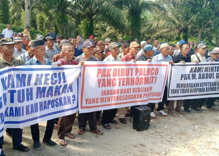 Tuntut Tolak Penghapusan Bantuan Uang Beras, Ratusan Pensiunan Gruduk Kantor Distrik Asahan 4 Tuntut Tolak Penghapusan Bantuan Uang Beras, Ratusan Pensiunan Gruduk Kantor Distrik Asahan