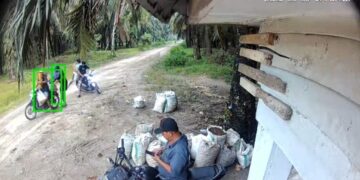 Aksi Pencurian dan Perampokan Buah Sawit Di Kabupaten Sergei Kembali Menggila