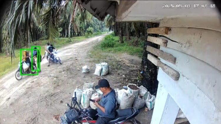 Aksi Pencurian dan Perampokan Buah Sawit Di Kabupaten Sergei Kembali Menggila 2 Aksi Pencurian dan Perampokan Buah Sawit Di Kabupaten Sergei Kembali Menggila