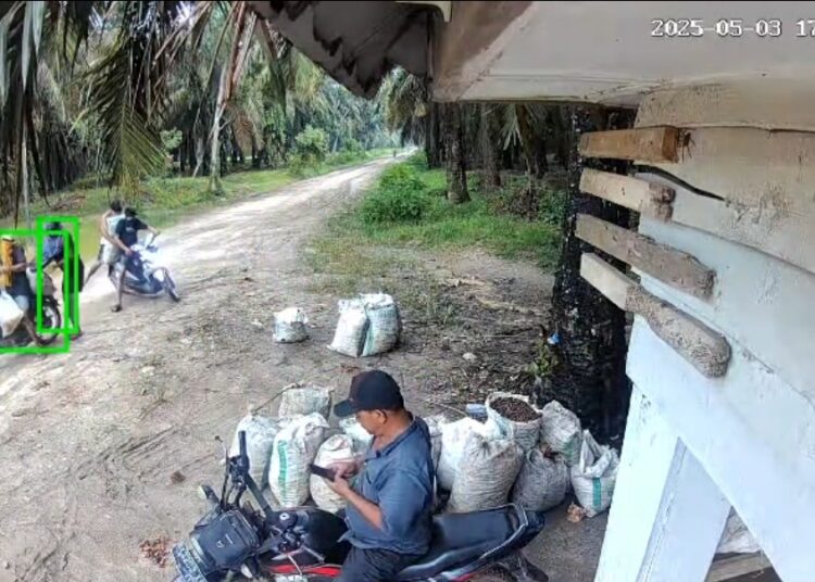 Aksi Pencurian dan Perampokan Buah Sawit Di Kabupaten Sergei Kembali Menggila