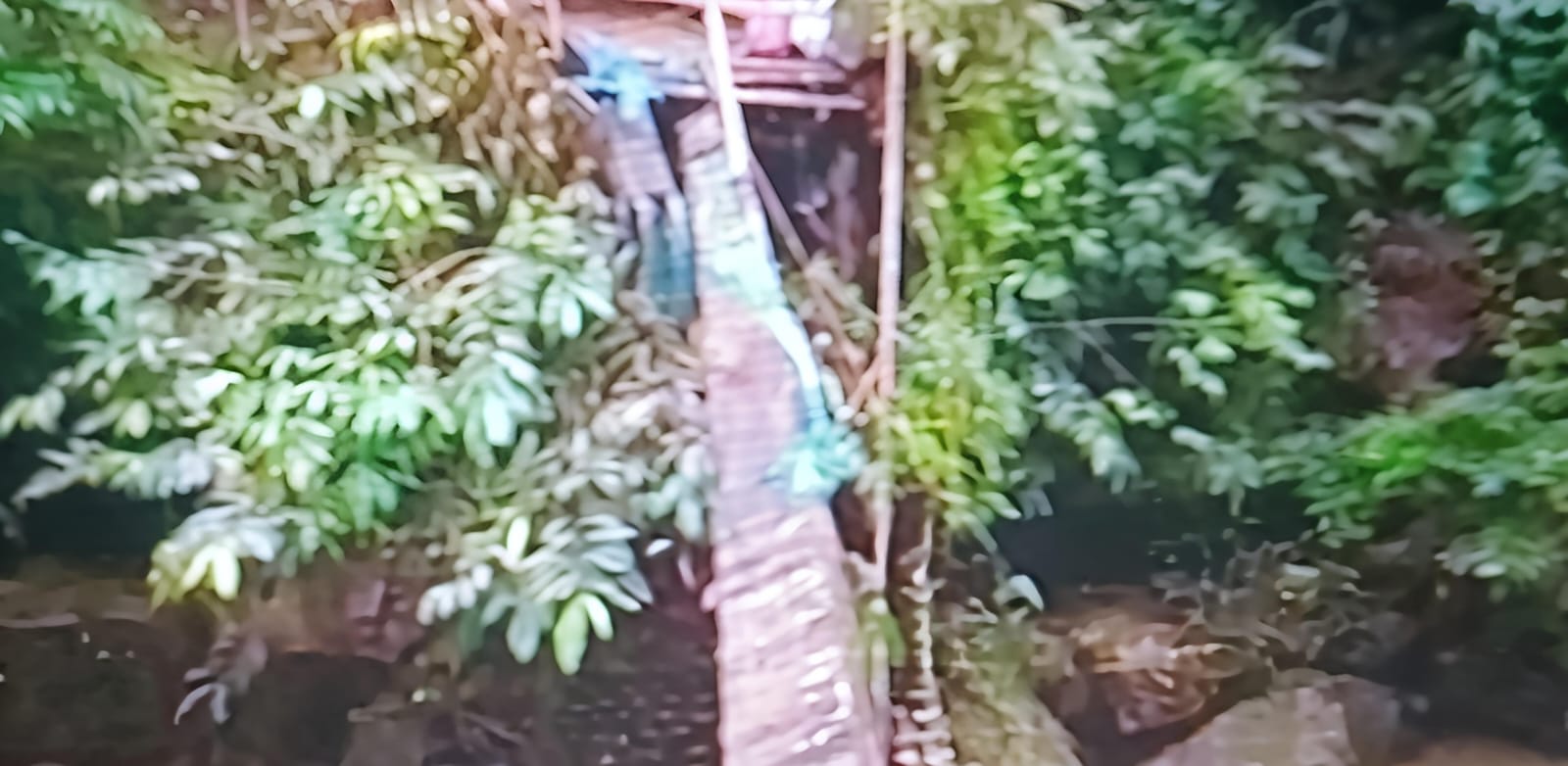 Bupati Pasaman Dan Forkopimda Tinjau Langsung Jembatan Lanai Ambruk, Pastikan Jadi Prioritas Utama Untuk Perbaikan - IMG 20250807 WA0008