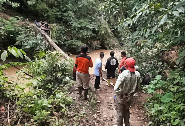 Bupati Pasaman Dan Forkopimda Tinjau Langsung Jembatan Lanai Ambruk, Pastikan Jadi Prioritas Utama Untuk Perbaikan