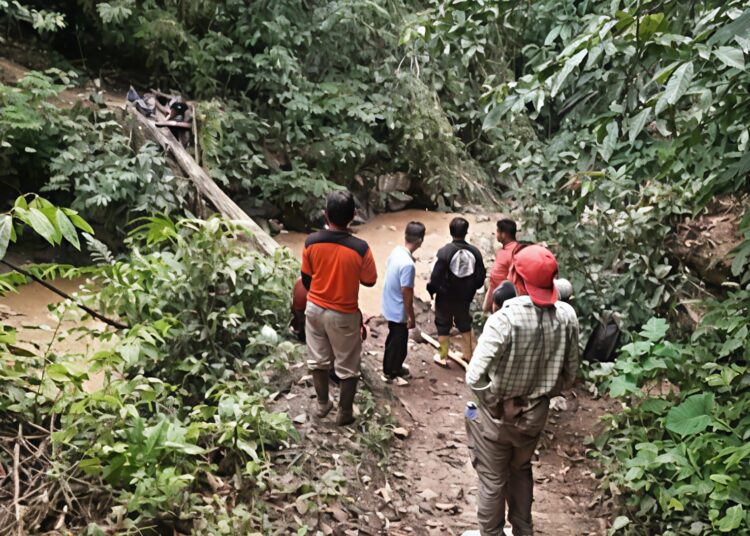 Bupati Pasaman Dan Forkopimda Tinjau Langsung Jembatan Lanai Ambruk, Pastikan Jadi Prioritas Utama Untuk Perbaikan 4 Bupati Pasaman Dan Forkopimda Tinjau Langsung Jembatan Lanai Ambruk, Pastikan Jadi Prioritas Utama Untuk Perbaikan
