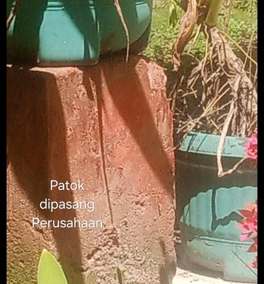 Warga Desa Timbang Deli Resah, PT. Timbang Deli Indonesia Klaim Rumah Mereka Bagian Dari HGU Perusahaan 5 Warga Desa Timbang Deli Resah, PT. Timbang Deli Indonesia Klaim Rumah Mereka Bagian Dari HGU Perusahaan - IMG 20250812 WA0017 1