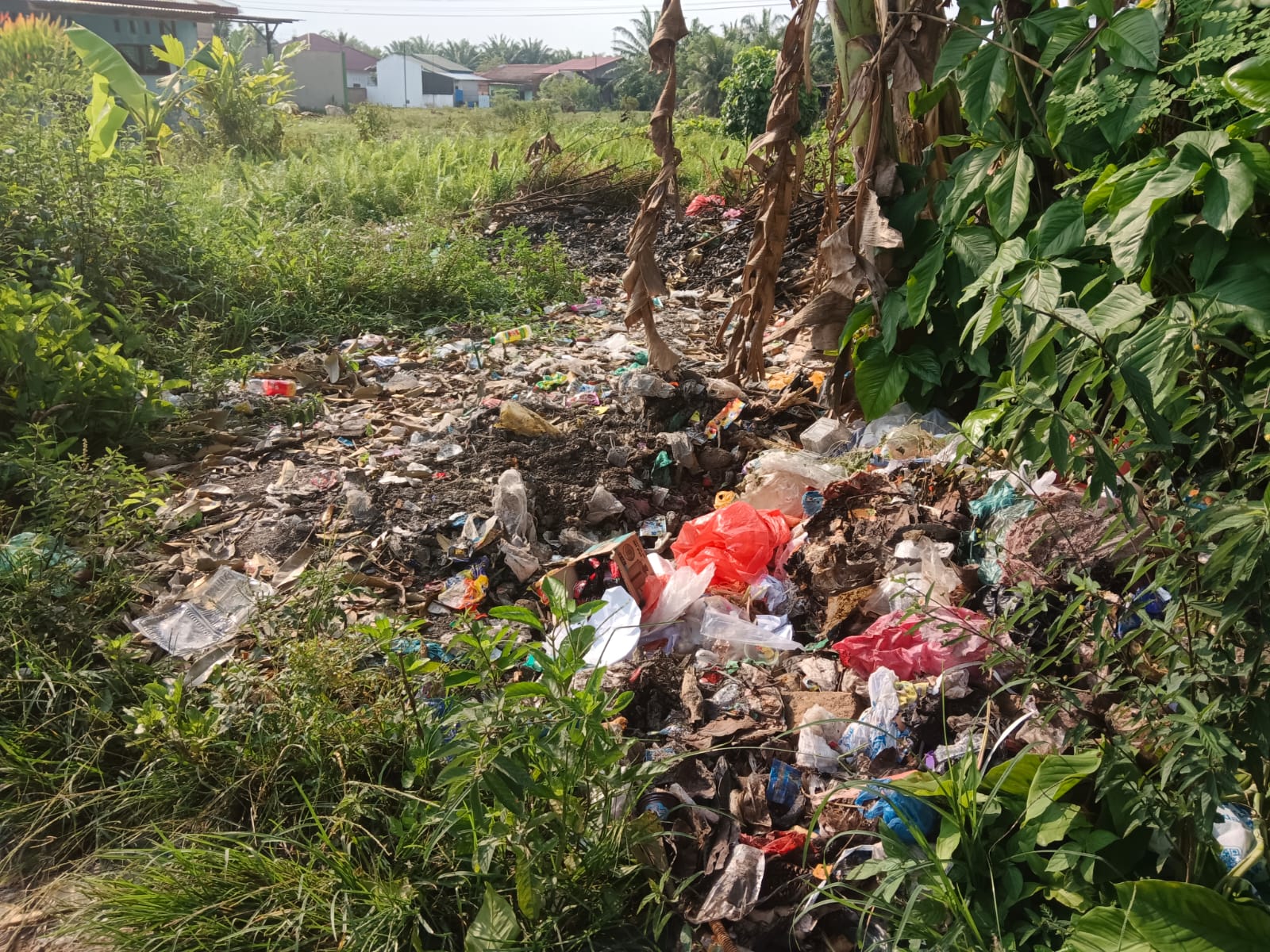 Stop BABS Untuk Cegah Stunting, Dinas Kesehatan Kota Tebingtinggi Laksanakan Sosialisasi Sanitasi Total Berbasis Masayarakat 8 Stop BABS Untuk Cegah Stunting, Dinas Kesehatan Kota Tebingtinggi Laksanakan Sosialisasi Sanitasi Total Berbasis Masayarakat - IMG 20250819 WA0020