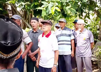 Puluhan Ribu Pensiunan Karyawan Pelaksana PTPN IV Palmco Menjerit, 3 Bulan Belum Terima Pembayaran Pengganti Uang Beras