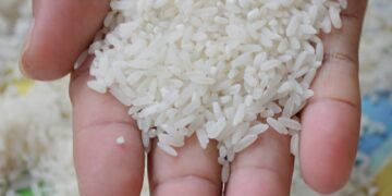 Bantuan Uang Beras Karyawan Pelaksana Ex PTPN III, IV, V Dan VI Akan Dibayarkan Sekaligus 19 Bantuan Uang Beras Karyawan Pelaksana Ex PTPN III, IV, V Dan VI Akan Dibayarkan Sekaligus