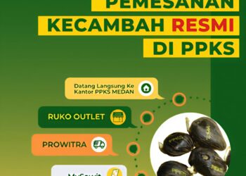 Pemkab Pasaman Barat Bahas Kerjasama Ketersediaan Bibit Sawit Dengan PPKS, Lonsum Dan BBPPTP Medan