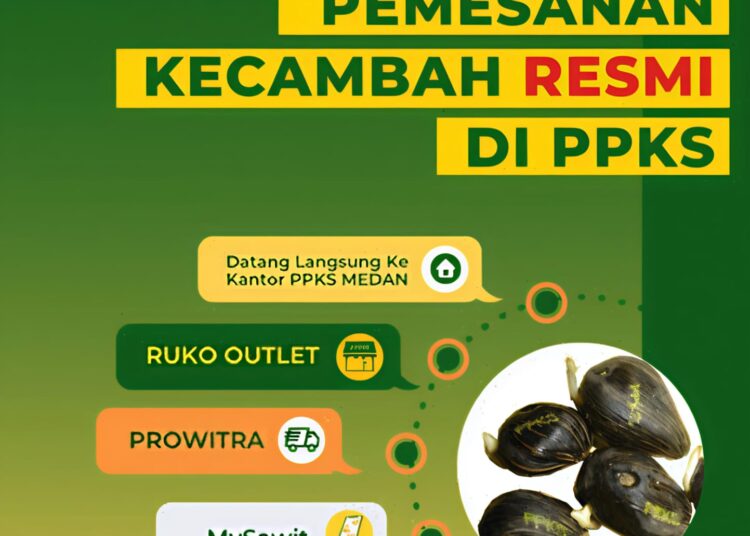 Pemkab Pasaman Barat Bahas Kerjasama Ketersediaan Bibit Sawit Dengan PPKS, Lonsum Dan BBPPTP Medan