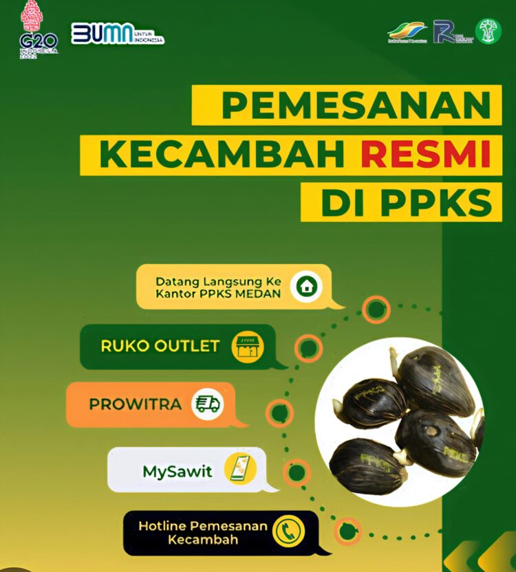 Pemkab Pasaman Barat Bahas Kerjasama Ketersediaan Bibit Sawit Dengan PPKS, Lonsum Dan BBPPTP Medan 2 Pemkab Pasaman Barat Bahas Kerjasama Ketersediaan Bibit Sawit Dengan PPKS, Lonsum Dan BBPPTP Medan