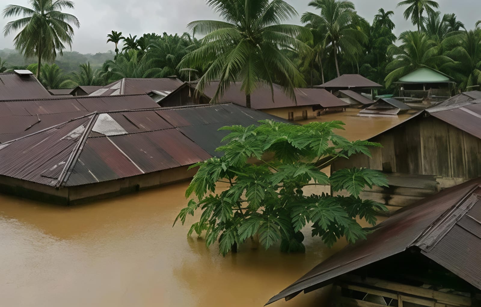 Banjir dan Longsor Kepung Wilayah Kabupaten Tapsel-Tapteng-Sibolga, Akibatkan Korban Jiwa, Rumah Dan Kenderaan Hanyut - IMG 20251127 WA0006