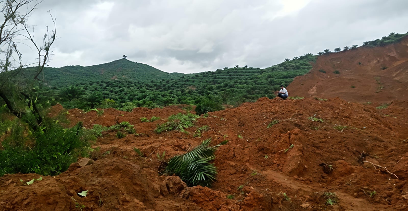 Tragedi Tanah Longsor Di Angkola Sangkunur Tapsel, 12 Orang Masih Tertimbun Lahan HGU PTPN IV Palmco Regional I Kebun Hapesong - IMG 20251129 WA0019