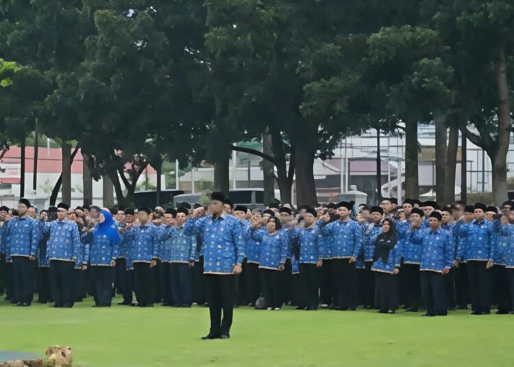 Berapa Besaran Gaji PPPK Paruh Waktu, Lengkap Dengan Tunjangannya