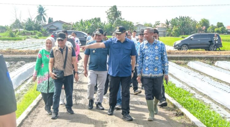 Bupati Deliserdang Perkuat Sektor Pertanian, Asri Ludin Tambunan : bantuan alsintan diharapkan mampu menekan biaya produksi