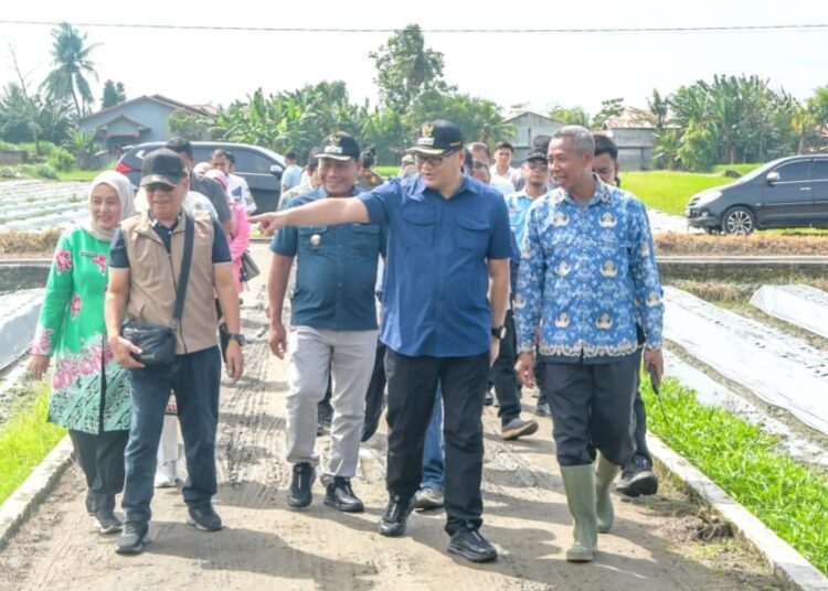 Bupati Deliserdang Perkuat Sektor Pertanian, Asri Ludin Tambunan : bantuan alsintan diharapkan mampu menekan biaya produksi