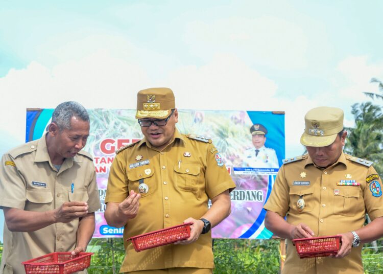 Gerakan Tanam Bawang Merah Pemkab Gelorakan Semangat Petani Optimalkan Potensi Lahan