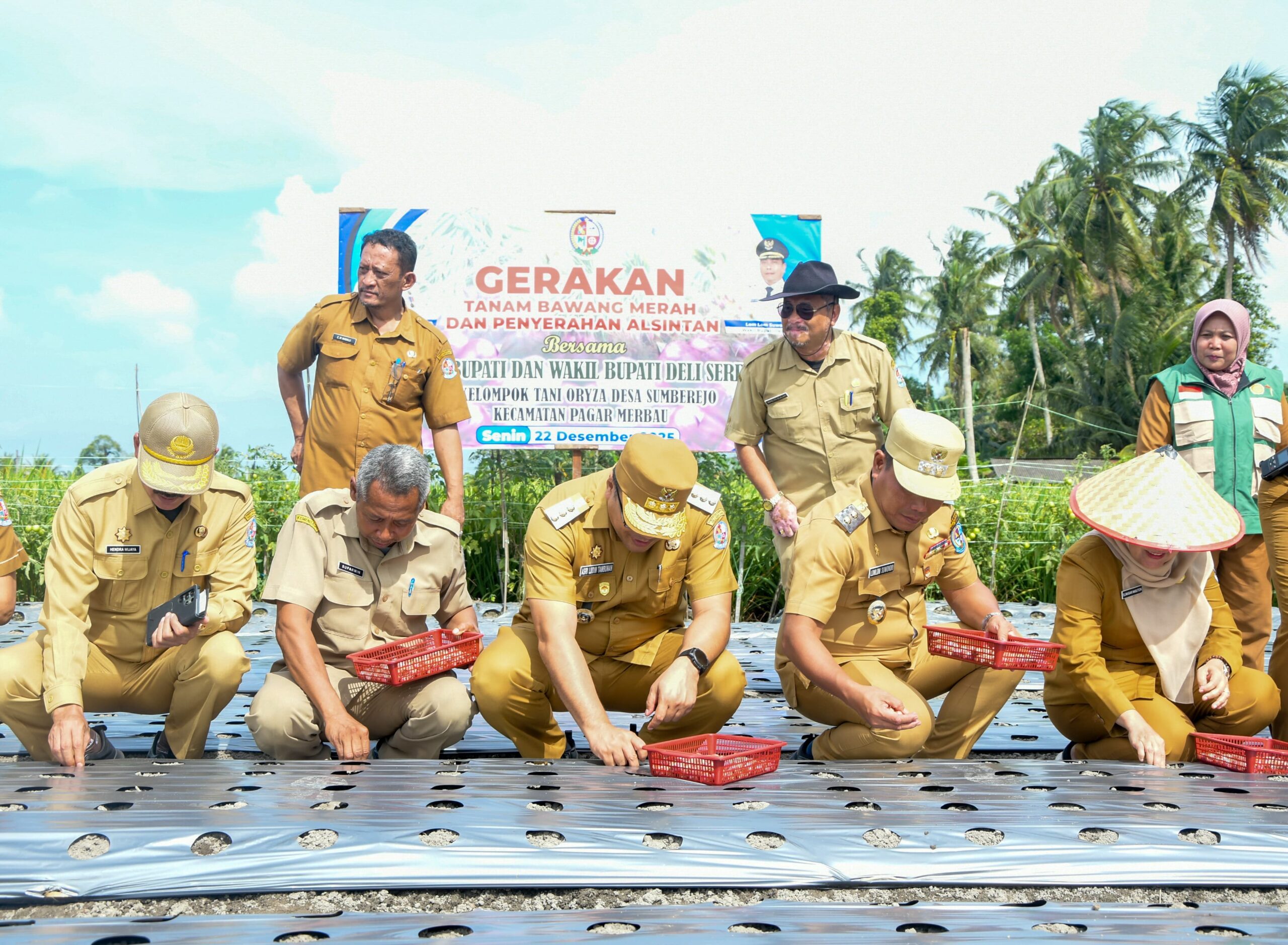 Pemkab Deliserdang Gelorakan Semangat Petani, Optimalkan Potensi Lahan Dengan Gerakan Tanam Bawang Merah - IMG 20251223 WA0022 scaled