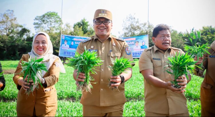 Bupati Asri Ludin Tambunan Berencana Bangun Greenhouse, Untuk Menjaga Stabilitas Harga Pangan Di Deli Serdang 2 Bupati Asri Ludin Tambunan Berencana Bangun Greenhouse, Untuk Menjaga Stabilitas Harga Pangan Di Deli Serdang
