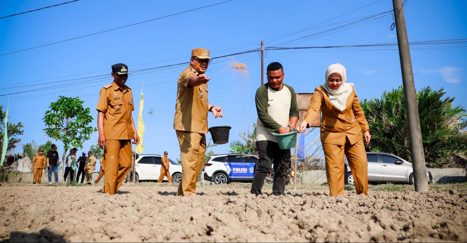 Bupati Asri Ludin Tambunan Berencana Bangun Greenhouse, Untuk Menjaga Stabilitas Harga Pangan Di Deli Serdang - IMG 20251224 WA0039