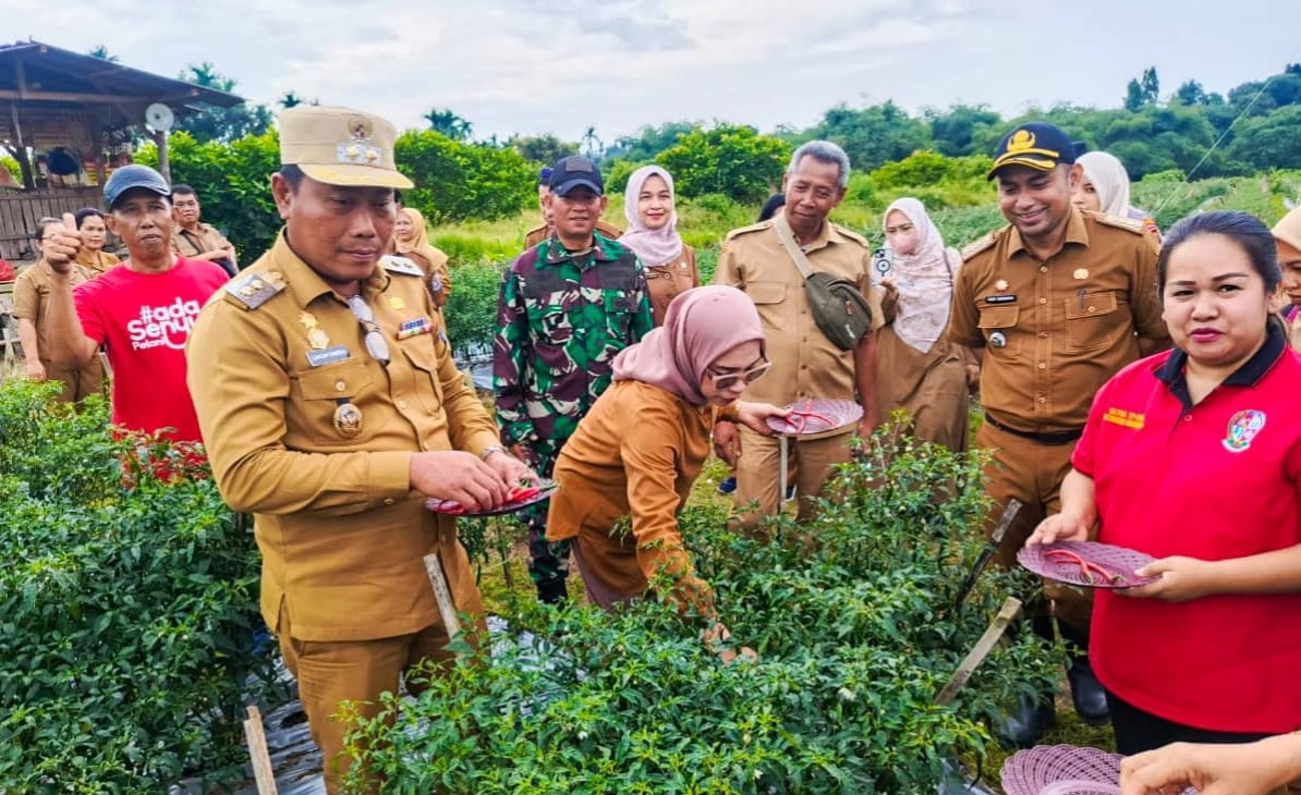 Wabup Lom Lom Suwondo : Pertanian di Kecamatan Namorambe, Deliserdang Subur - IMG 20251231 WA0025