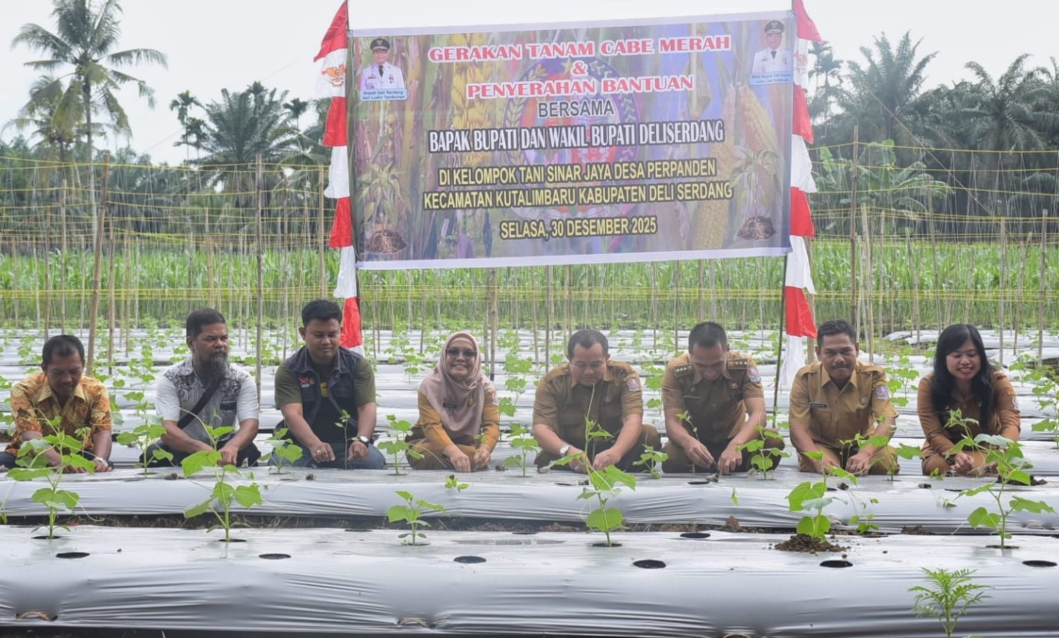 Pemkab Deliserdang Memasyarakatkan Gerakan Tanam Cabai Merah, Untuk Menjaga Stabilitas Harga Dan Inflasi Daerah - IMG 20260102 WA0001