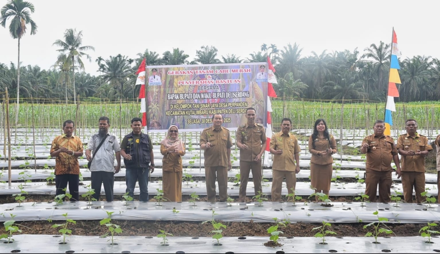 Pemkab Deliserdang Memasyarakatkan Gerakan Tanam Cabai Merah, Untuk Menjaga Stabilitas Harga Dan Inflasi Daerah - IMG 20260102 WA0002