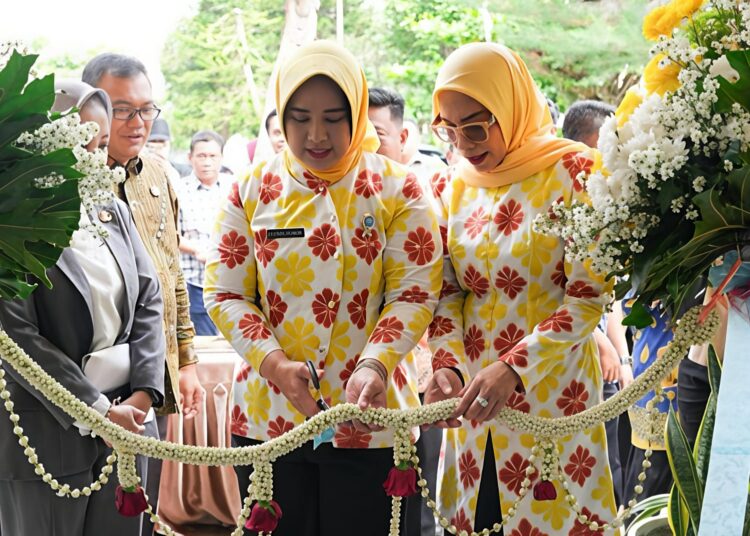 Satu Lagi Prestasi Deliserdang, RSUD H. Amri Tambunan Kini Sudah Dilengkapi Layanan Kanker Dan Kemoterapi