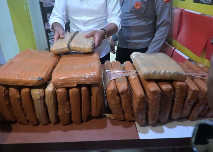 Polres Labuhanbatu Selatan Berhasil Ungkap Peredaran 27.869 Gram Ganja Kering, Tangkap Seorang Pelaku