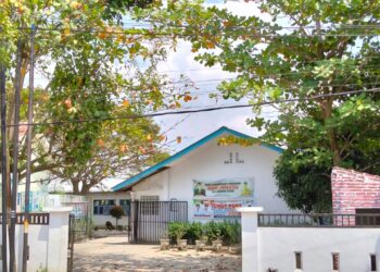 Dua Pohon Pelindung Di Halaman SMP Negeri 8 Kota Tebingtinggi Membahayakan Siswa