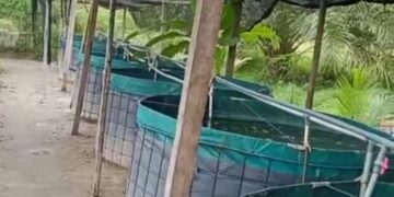 Kolam Bio Dlok Di Desa Galang Suka Deliserdang Dicuri Dan Dirusak