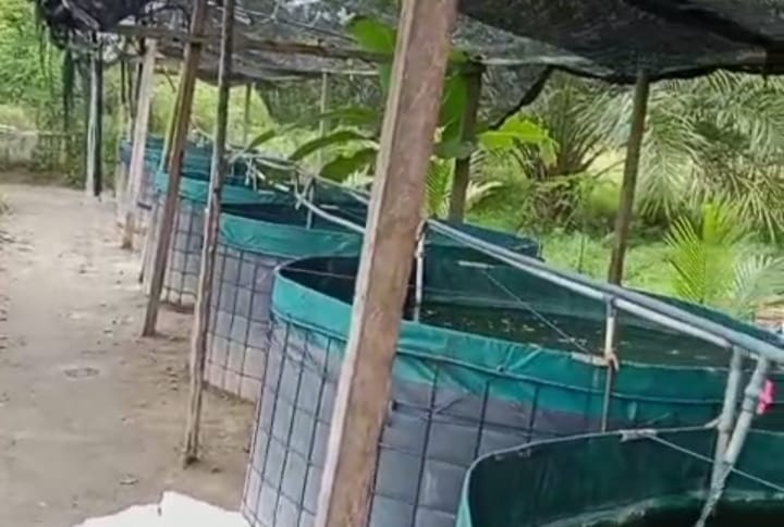 Kolam Bio Dlok Di Desa Galang Suka Deliserdang Dicuri Dan Dirusak 2 Kolam Bio Dlok Di Desa Galang Suka Deliserdang Dicuri Dan Dirusak