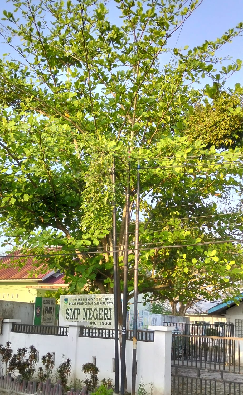 Lapor Pak Wali, LPJ Jalan Bukit Kubu Kota Tebingtinggi Sudah Lama Padam, Tak Pernah Diperbaiki - IMG 20260221 WA0018