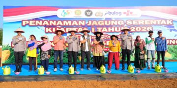 Polda Sumut Dukung Ketahanan Pangan Nasional, Ikut Tanam Jagung Kwartal I Tahun 2026