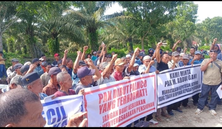 Ketum KP3N H. Zulkifli Barus Tuding Direksi Holding Dan Palmco Kambing Hitamkan Danantara, Ribuan Purnakarya PTPN Tuntut Direksi Segera Mundur, Karena Telah Sengsarakan Pensiunan Tak Bayar Uang Beras Dan THR - IMG 20260312 WA0098