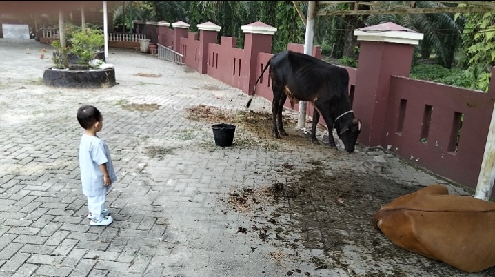 Sholat Idul Adha Di Masjid Al-Ihsan Wannajah Kebun Rambutan, Ustadz Supriadi : Tujuan Hidup Didunia Beribadah Kepada Allah SWT 5 Sholat Idul Adha Di Masjid Al-Ihsan Wannajah Kebun Rambutan, Ustadz Supriadi : Tujuan Hidup Didunia Beribadah Kepada Allah SWT - IMG 20260527 WA0017