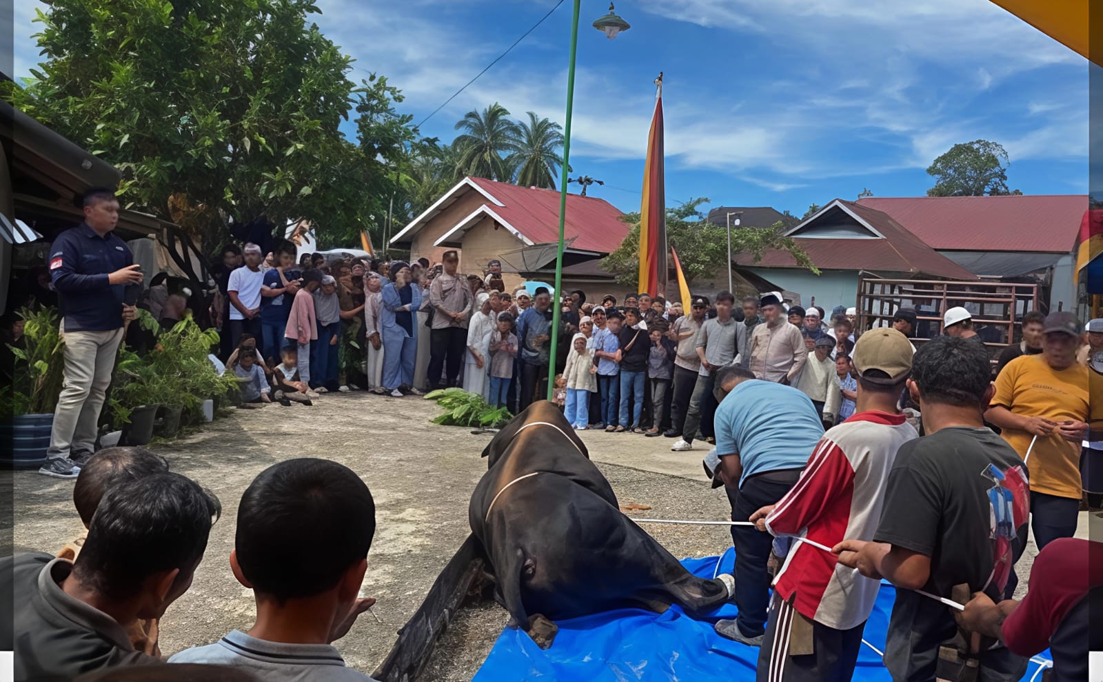 Semangat Berkurban Warga Nagari Cubadak Barat Meningkat, Muara Tambangan Terbanyak Sembelih 11 Ekor Sapi - IMG 20260528 WA0022