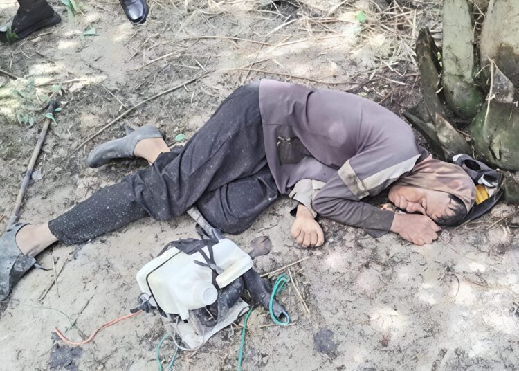 Pekerja Panen Temukan Mayat Di Areal Perkebunan Sawit Timbang Deli, Polsek Galang Bertindak Cepat