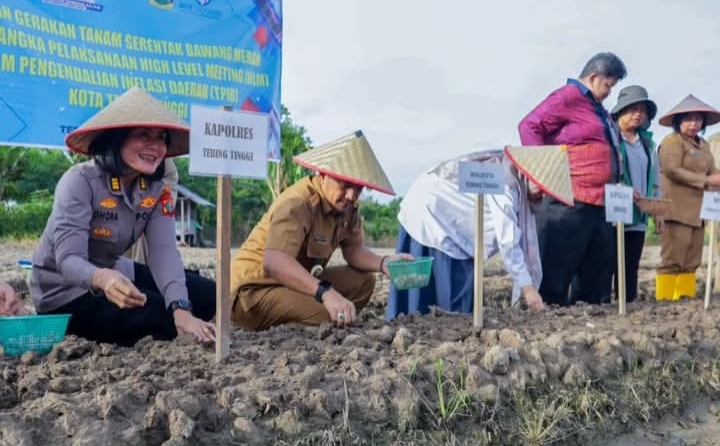 Walikota Tebing Tinggi Pimpin Gerakan Tanam Bawang Merah 3 Walikota Tebing Tinggi Pimpin Gerakan Tanam Bawang Merah - IMG 20260611 WA0015