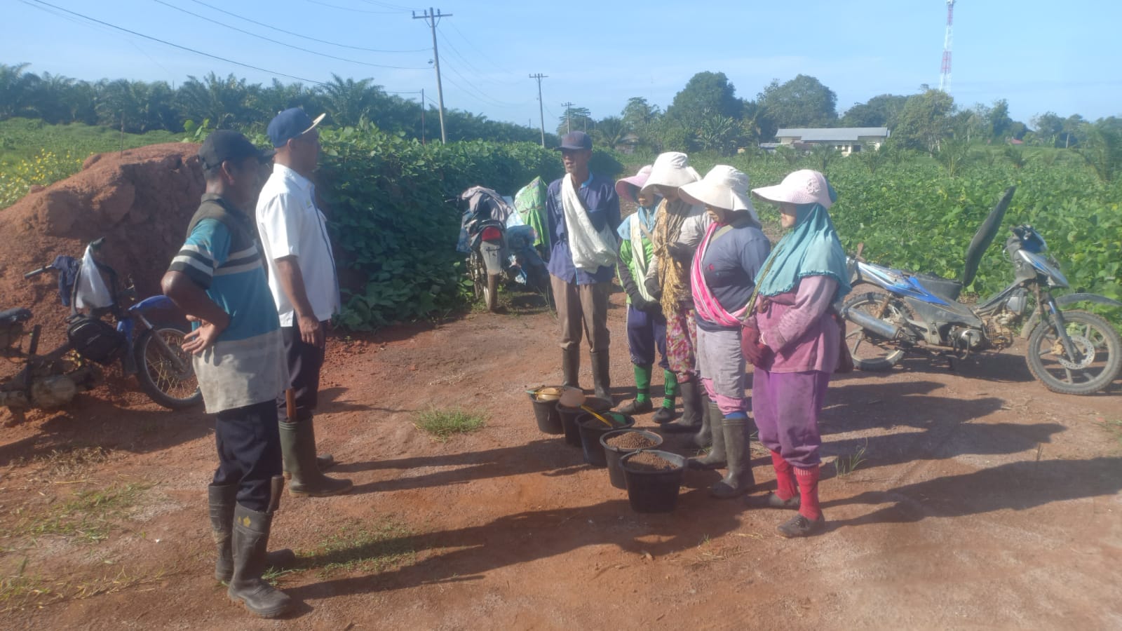 Manajemen PTPN IV Regional I Kebun Sei Putih Pastikan Tak Ada Penyimpangan Dalam Pekerjaan TU/TK Tahun 2025 - IMG 20260629 WA0037