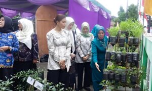 KETUA TP PKK TEBING TINGGI SAMBUT HANGAT KETUA TP PKK PROVINSI SUMATERA UTARA DI KELURAHAN RANTAU LABAN 4 KETUA TP PKK TEBING TINGGI SAMBUT HANGAT KETUA TP PKK PROVINSI SUMATERA UTARA DI KELURAHAN RANTAU LABAN - IMG 20260618 083255