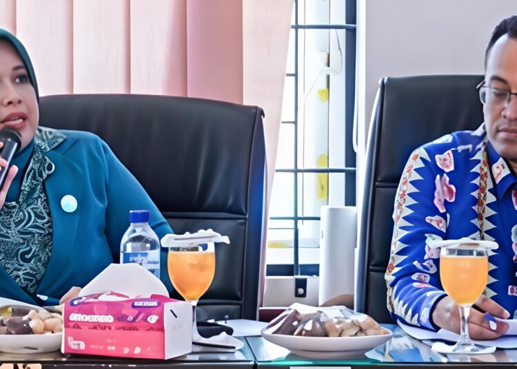 APRESIASI DAN DUTA AJANG KREATIFITAS DUTA GENERASI BERENCANA, KABUPATEN DELI SERDANG 
