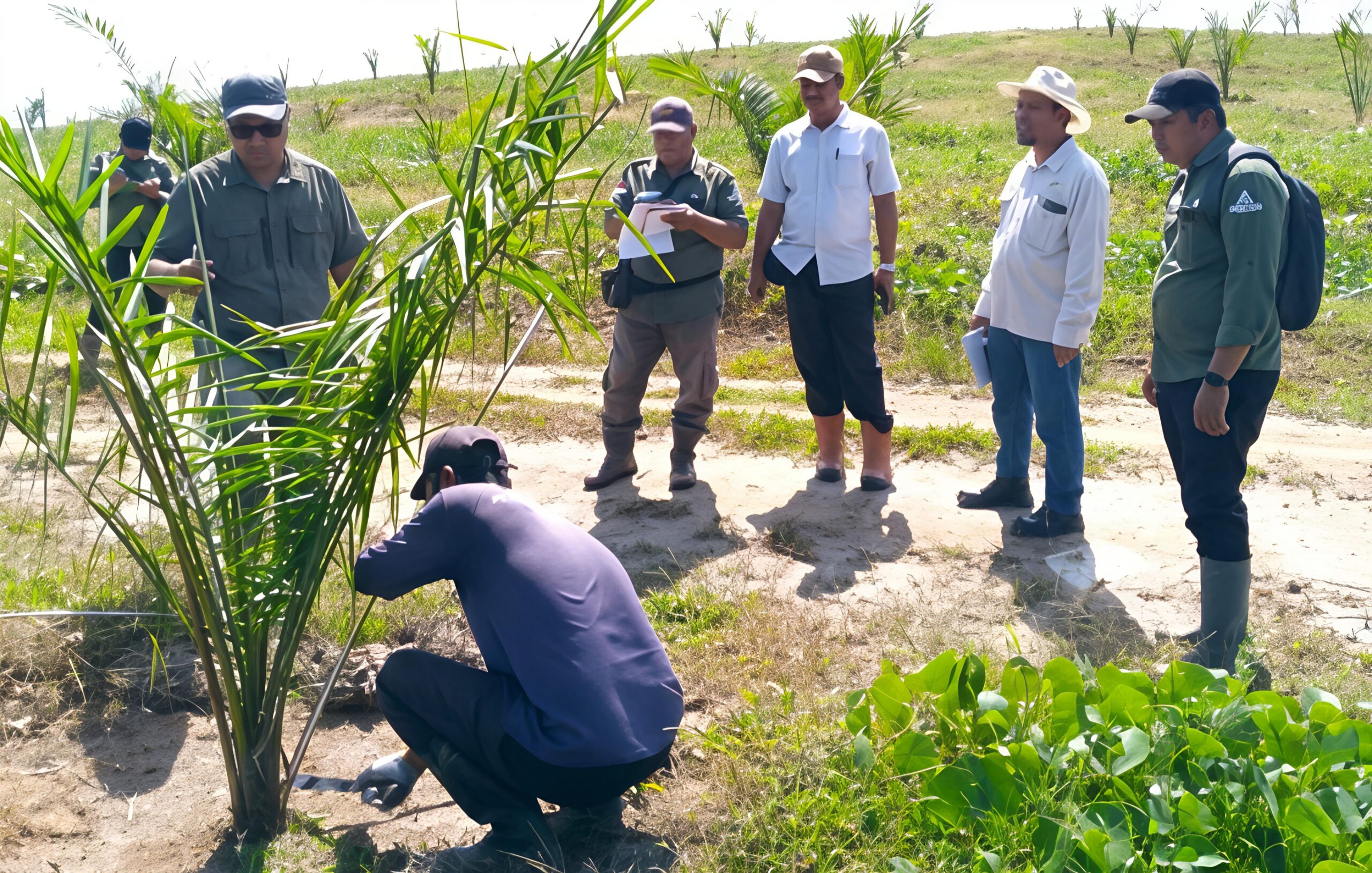 Manajemen PTPN IV Regional I Kebun Sei Putih Pastikan Tak Ada Penyimpangan Dalam Pekerjaan TU/TK Tahun 2025 - IMG 20260629 192820 scaled