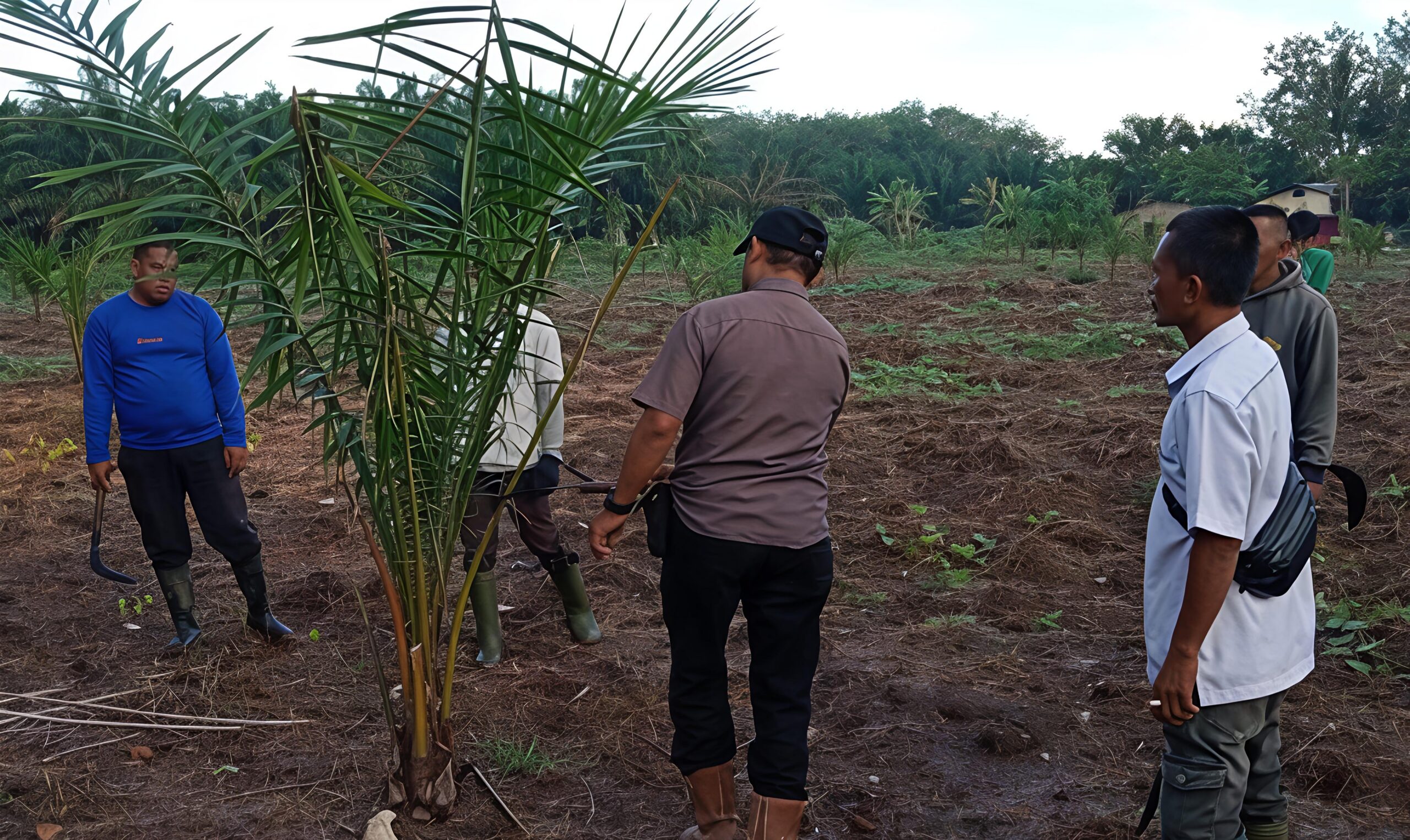 Manajemen PTPN IV Regional I Kebun Sei Putih Pastikan Tak Ada Penyimpangan Dalam Pekerjaan TU/TK Tahun 2025 - IMG 20260630 105839 scaled