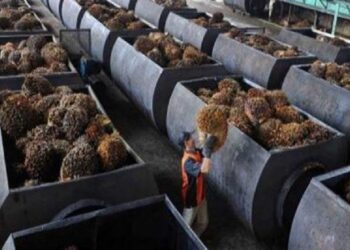PKS PT. Serdang Tengah Tanjung Purba Deli Serdang, Tidak Mengakomodir Warga Sekitar Dalam Rekrutmen Tenaga Kerja