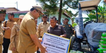 Bupati Deli Serdang Asri Ludin Tinjau Sekaligus Ikut Memanen Bawang Merah Bersama Poktan Tani Jaya Tani Desa Ramunia 