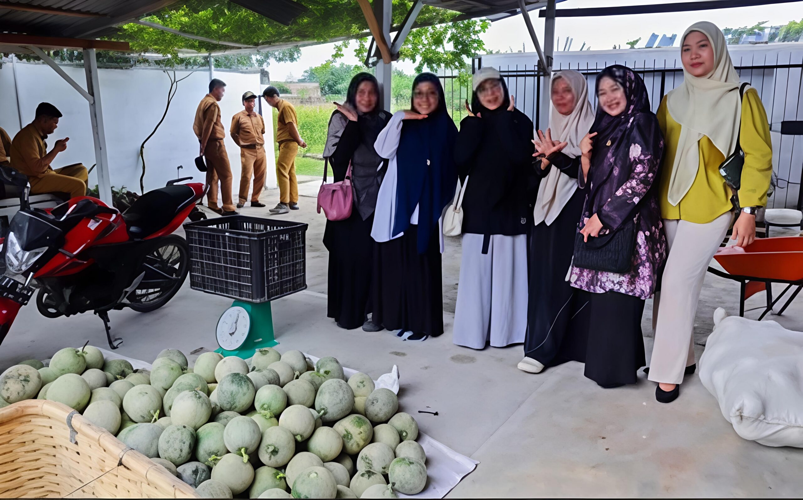 KETUA DWP KOTA TEBING TINGGI SAKSIKAN PANEN RAYA BUAH MELON BINAAN DINAS KETAPANG, UNTUK PERKUAT SINERGI KETAHANAN PANGAN DAERAH 5 KETUA DWP KOTA TEBING TINGGI SAKSIKAN PANEN RAYA BUAH MELON BINAAN DINAS KETAPANG, UNTUK PERKUAT SINERGI KETAHANAN PANGAN DAERAH - IMG 20260714 174811 scaled