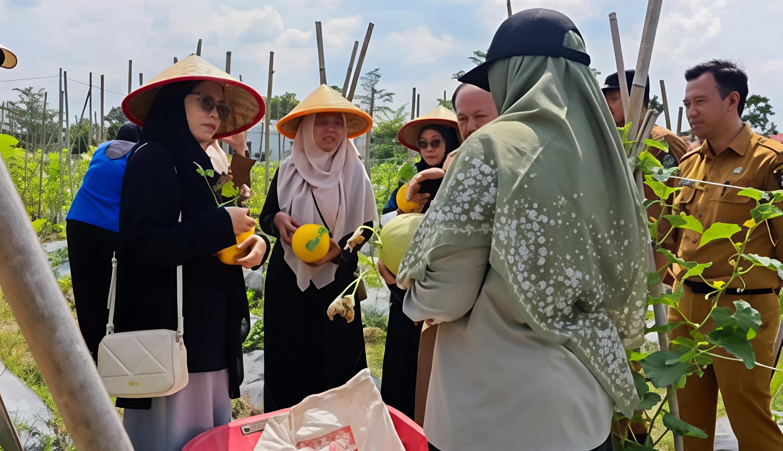KETUA DWP KOTA TEBING TINGGI SAKSIKAN PANEN RAYA BUAH MELON BINAAN DINAS KETAPANG, UNTUK PERKUAT SINERGI KETAHANAN PANGAN DAERAH 4 KETUA DWP KOTA TEBING TINGGI SAKSIKAN PANEN RAYA BUAH MELON BINAAN DINAS KETAPANG, UNTUK PERKUAT SINERGI KETAHANAN PANGAN DAERAH - IMG 20260714 174900 scaled