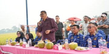 Bupati Deli Serdang Dialog Dengan Petani Desa Ramunia, Tampung Seluruh Aspirasi Dan Segera Ditindaklanjuti 
