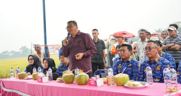 Bupati Deli Serdang Dialog Dengan Petani Desa Ramunia, Tampung Seluruh Aspirasi Dan Segera Ditindaklanjuti 2 Bupati Deli Serdang Dialog Dengan Petani Desa Ramunia, Tampung Seluruh Aspirasi Dan Segera Ditindaklanjuti