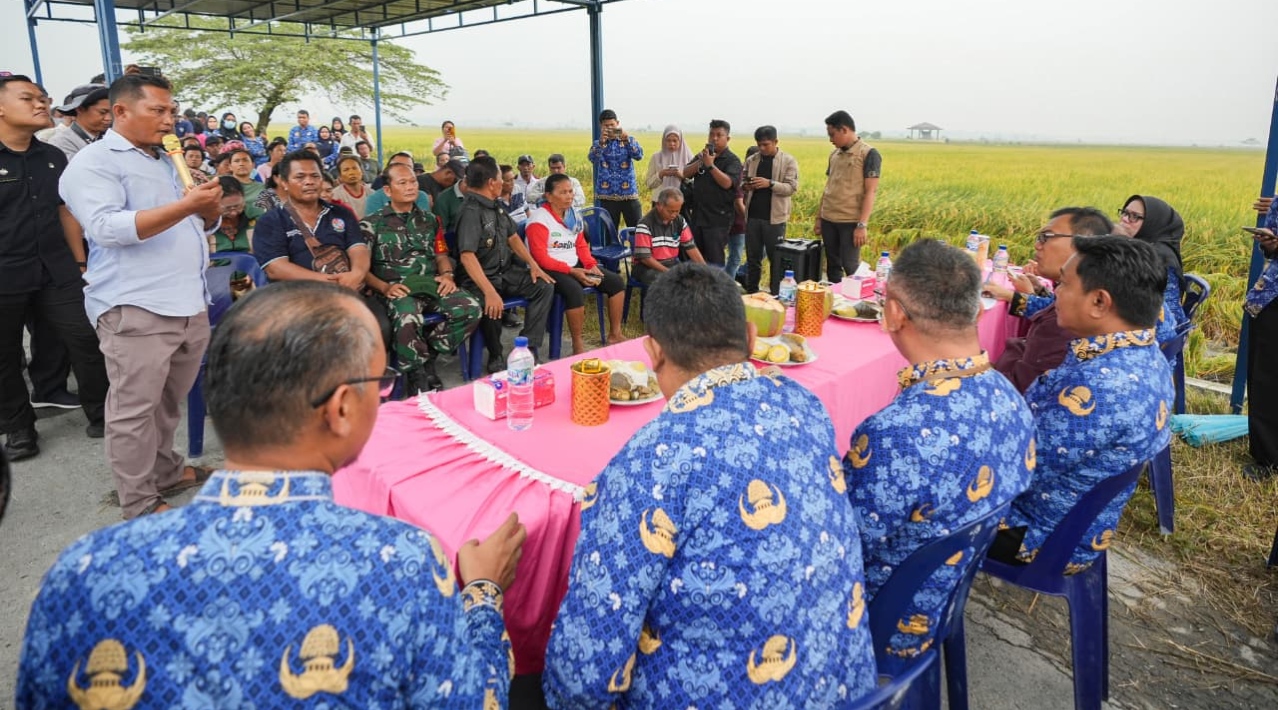 Bupati Deli Serdang Dialog Dengan Petani Desa Ramunia, Tampung Seluruh Aspirasi Dan Segera Ditindaklanjuti 5 Bupati Deli Serdang Dialog Dengan Petani Desa Ramunia, Tampung Seluruh Aspirasi Dan Segera Ditindaklanjuti - IMG 20260717 234535